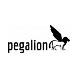 Logo pegalion GmbH & CO. KG